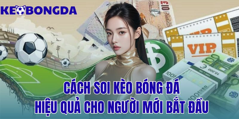 cách soi kèo bóng đá hiệu quả cho người mới bắt đầu