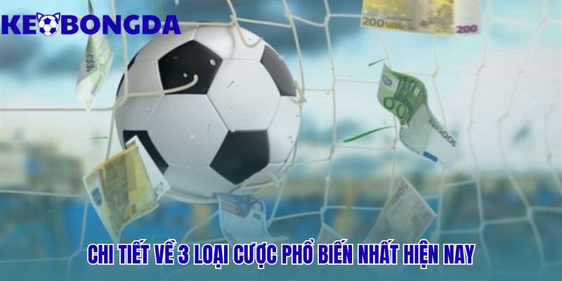 Ba loại cược phổ biến gồm kèo châu Á Âu và Tài Xỉu