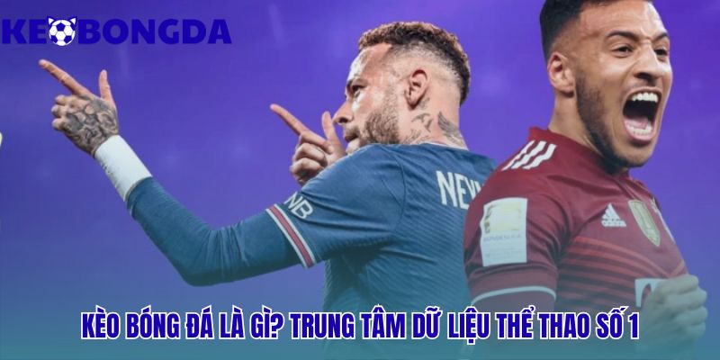 Cung cấp dữ liệu kèo bóng đá chính xác và phân tích chuyên sâu