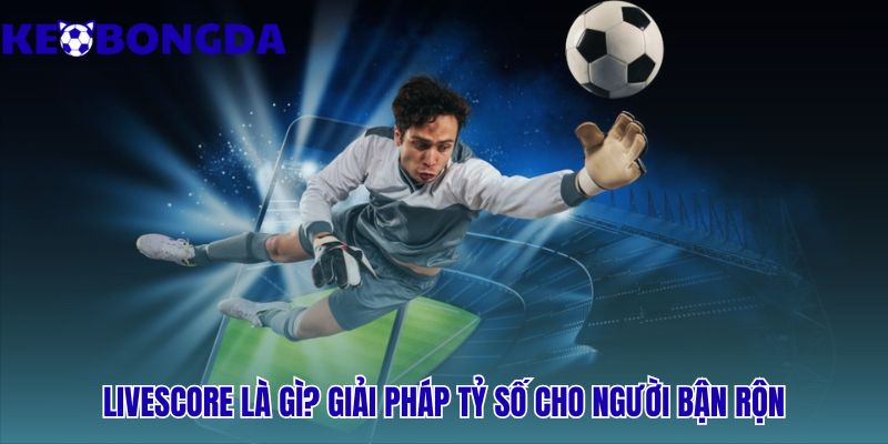 Livescore 34 Livescore giải pháp thông tin cho người hâm mộ bận rộn