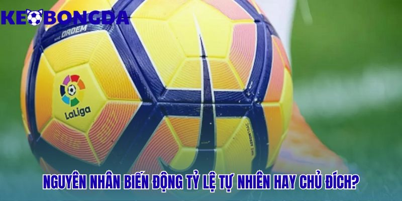 Biến động tỷ lệ kèo là gì? cách nhận biết kèo thơm – kèo bẫy và ý đồ