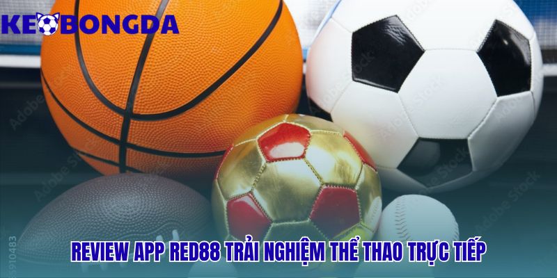 Đánh giá app Red88 qua tốc độ chốt kèo và độ ổn định cao