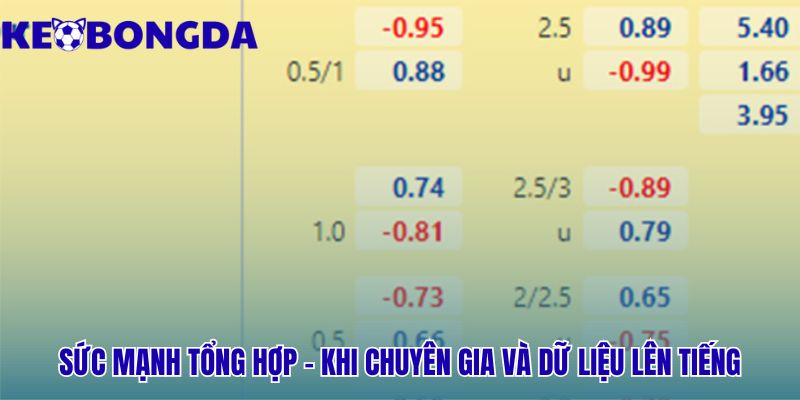 So Sánh Nhận Định Chuyên Gia Và Dữ Liệu Thống Kê 2 So sánh nhận định chuyên gia và dữ liệu thống kê để loại bỏ thiên kiến
