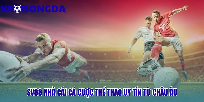 Nhà cái Sv88 sở hữu nền tảng giao dịch tự động hóa